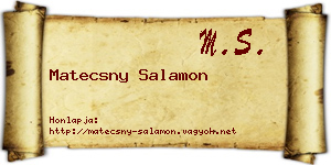Matecsny Salamon névjegykártya